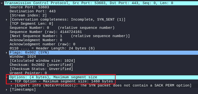 5 Reasons Why Nmap Stealth Scan is Not Stealthy