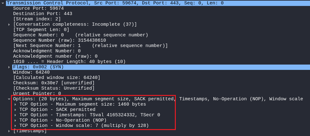 5 Reasons Why Nmap Stealth Scan is Not Stealthy