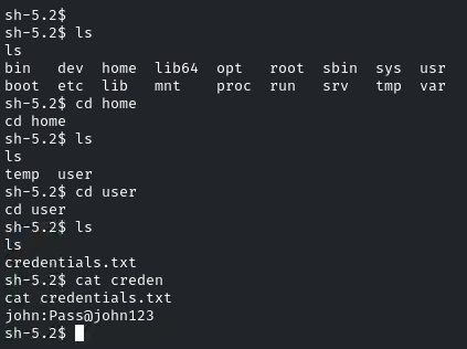 Host & Network Penetration Testing Post-Exploitation CTF 1 — Walkthrough