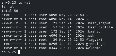 Host & Network Penetration Testing System-Host Based Attacks CTF 2